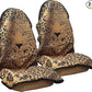 Car Seat Cover Protector Front Seats,for Gym Workout,Running,Swimming,Beach and Hiking,Waterproof Sweat Towel Bucket Seat Covers for Cars SUV Trucks (Leopard, 2Pcs)