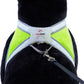 Noxgear LightHound – Revolutionary Illuminated and Reflective Harness for Dogs Including Multicolored LED Fiber Optics (USB Rechargeable, Adjustable, Lightweight, Rainproof) (Small)