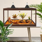 PROLEE Bearded Dragon Tank,27 Gallon Reptile Tank with Meatl Mesh Roof and Front Sliding Door, Anti-Scratch Lizard Tank,Spacious Reptile Enclosure for Snakes,Lguanas, Chameleons(Walnut)