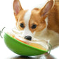 Avocado Non-Spill Treat Dispensing Wobble Toys for Dogs
