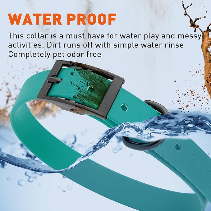 Dogline Biothane Waterproof Dog Collar Strong Coated Nylon Webbing with Black Hardware Odor- Proof for Easy Care Easy to Clean High Performance Fits Small Medium or Large Dogs, Blue Aqua