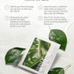 MASTINA White Mastic Face Mask (Heartleaf Calming, 4 pc) Premium Korean Skin Care for Soothing & Deep Moisturization. Sensitive Tired Skin White Mastic Cica Vegan Sheet Masks