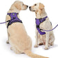 NESTROAD No Pull Dog Harness,Adjustable Oxford Dog Vest Harness with Leash,Reflective No-Choke Pet Harness with Easy Control Soft Handle for Large Dogs(X-Large,Purple)
