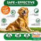 Flea and Tick Prevention for Dogs Pills - Natural Dog Flea & Tick Control - 170 Soft Chewables - Oral Defense Treatment for Dogs Supplement - Vet Formulated Chews - All Breeds & Ages - Made in USA