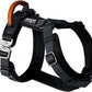 MADE TO ROAM Premium Explorer Harness - Y-Shaped Dog Harness with Adjustable Durable Nylon, Soft Padding, Metal Buckles and Leather Handle for Small, Medium, Large Dogs (New York Afterlight, Size 7)