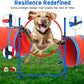 Dog Agility Training Equipment Set, Obstacle Courses Agility Training Kit for Puppy Includes 2 High Hurdles, Standard Tunnel, Blind Tunnel, Jumping Ring, 6 Weave Poles, Pause Box and 2 Carrying Bags