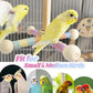 Bird Stand Perch Toy for Small & Medium Birds, 360° Rotating Natural Wooden Parrot Perchs for Bird Cages, Interactive Spinning Toy fo Parrot Parakeets Cockatiels Lovebirds Conures Finches Budgies