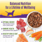 Wellness Complete Health Thick & Chunky Natural Canned Wet Dog Food, Lamb & Beef Stew, 12.5-Ounce Can (Pack of 12)