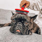 Tuff Pupper Round Bristle Soft Brush for Dogs and Cats | Gentle Grooming for Short or Long Hair | Soft Pin Tool for Sensitive Skin | Detangle & Remove Loose Fur | For Dematting & Detangling Undercoat
