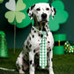 PET SHOW 10 Pack St. Patrick's Day Big Dog Ties Neckties for Large Breed Dogs XL Adjustable Holiday Grooming Accessories Neck Ties Bowties Girl Boy Pets Festival Costumes Wedding Party Gift Favor