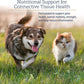 Rx Vitamins NutriFlex for Cats & Dogs - Glucosamine for Dogs Hip and Joint Supplement - with Bovine Collagen and Chondroitin - Joint Pain Relief & Anti Inflammatory for Dogs - Beef Liver (90 Chews)