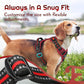 Eagloo Dog Harness for Large Dogs, Easy Wearing with 3 Buckles, Adjustable No Pull Pet Harness with 2 Rings for Walking, No Chock Reflective Soft Padded Vest with Control Handle, Black & Red, XL