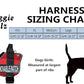 Doggie Stylz Blind Dog Harness No Pull No Escape Dog Vest for Blind Dogs Adjustable Vest with Handle Blind Dog Accessories and Patches for Training and Mobility
