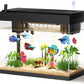 Fish Tank with Desktop Humidifier, 2.38 Gallon Quiet Eco Aquarium,Smart Touch LED Light & Temperature Display, Glass Mini Fish Tank