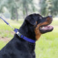 Dogline Biothane Waterproof Dog Collar with Herm Sprenger Black Stainless Steel Quick Release Buckle – Heavy Duty Tactical Durable Collar for Dogs – Comfortable and Safe Pet Collar, W 3/4" L 12-19"