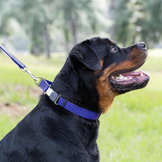 Dogline Biothane Waterproof Dog Collar with Herm Sprenger Stainless Steel Quick Release Buckle – Heavy Duty Tactical Durable Collar for Dogs – Comfortable and Safe Pet Collar W 1" L 15-25" Blueberry