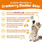 Zesty Paws Cranberry Urinary Tract Bites for Cats - Kidney & Urinary Tract Health - Soft Chews with D-Mannose, Vitamin B6 & L-Arginine - Immune & Gut Support - Bacon - 60 Count