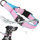 Airtag Dog Collar with Martingale Design, IP68 Waterproof Air Tag Collar Holder, Adjustable Reflective Soft Padded Nylon Dog Collar for Large Medium Small Dogs