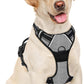 BARKBAY No Pull Dog Harness Large Step in Reflective Dog Harness with Front Clip and Easy Control Handle for Walking Training Running(Flint Gray,L)