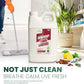 Naeterra Aromatherapy Cleaning Concentrate 64 oz Natural Multi-Surface Cleaner, Plant-Based and Biodegradable, Makes 24 Gallons, Cleaning Essential Oil Formula, Safe for Families and Pets
