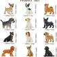 Toymany 12PCS Mini Dog Figurines Toy Set, Realistic Detailed Plastic Puppy Figures Playset, Hand Painted Dogs Animals Toy, Cake Toppers Easter Eggs Christmas Birthday Gift for Kids Toddlers