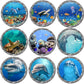 9PCS Ocean Animals World Under Sea Decor Sea Turtles Dolphins Fishes Sharks Coral Removable 3D Peel and Stick Vinyl Stickers