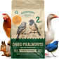 Dried Mealworms - 2 Lb Bag - High Protein Chicken Feed, Mealworms for Birds & Chickens - Meal Worms for Wild Birds & Turtles