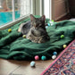 40-Pack Cat Balls – Fun Interactive Toys for Indoor Cats & Kittens (Basic Cat Toy Set)