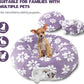 Cat Tunnel for Indoor Cats, Cute Peekaboo Cat Cave with Dangling Balls, Pet Donut Tunnel Bed with Circle Mat for Puppy Kitten Rabbit, Purple