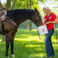 MVP Exceed 6-Way (16lb) High Level Performance Horse Support Pellets. Joint, hoof, Hair, gastric, Digestion and Muscle Support.