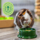 Oxbow Essentials Adult Guinea Pig Food - All Natural Adult Guinea Pig Pellets- No Artificial Ingredients- Veterinarian Recommended- All Natural Vitamins & Minerals- Made in the USA - 25 lb.