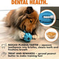 Max Fusion with Nike Grind, Dog Chew Toy, Arlee Weeble Treat Dispensing Toy for Dogs, Durable & Interactive for Pets, M