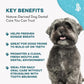 Dog Dental Care & Bad Breath Remedy, Natural Dog Oral Care for Healthy Teeth, Mouth & Gums, Daily Canine Breath Freshener, Plaque, Tartar Control Helps Reduce Gingivitis, Easy to Use 800 Tiny Pills