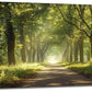 Large Forest Tree Wall Art Canvas Living Room Nature Green Pictures Framed Prints Oversize Wall Decor Landscape Painting for Bedroom Dining Office Home 60"x30"