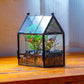 NCYP Small Glass Spider Enclosure with Mesh for Jumping Spiders, Snails, Micro House Shaped Front Opening Plant Terrarium, Home Decor Black, 5.8" x 3.8" x 7" (Terrarium Only)