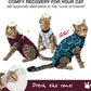 Bellyguard Cat Recovery Suit Female and Male, Comfy Onesie After Surgery, Kitten Clothes for Post-Op Care, Neuter and Spay Healing Outfits for Cats Only – Comfortable Kitten and Adult Cone Alternative