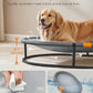 Feandrea Pet Bed, Cat Hammock, Elevated Cat Bed for Multiple Cats, with Removable Washable Mesh, for Pets up to 120 lb, Oval, Gray UPCB005G01