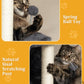 XL Cat Tree Tower for Large Adult Cats 20 lbs+, 25in Perch Bed, Condo Cave for Indoor Medium Kittens, 2 Scratchers, Extra Large Platform