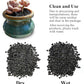 5 lbs Black Lava Rocks for Plants,1/4 Inch Crush Volcanic Rock Pumice Soil Additive for Succulent Aquarium Cactus Bonsai Fire Pits and Garden Landscaping