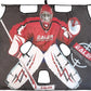 EALER Hockey Goal with Shooting Targets – 6′×4′ Portable Street & Ice Goal, Heavy-Duty 2″ Steel Frame, 11 Target Holes, Tear-Proof Fabric, Official Size, Easy Backyard Assembly