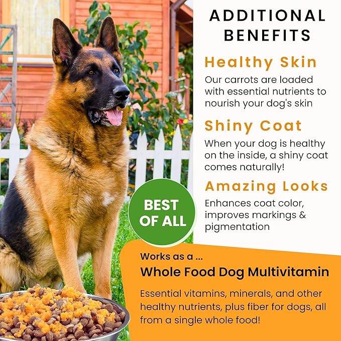 Olewo Starter Bundle Original Carrots & Red Beets - Fiber for Dogs, Digestive Dog Food Topper, Natural Anti Itch, Whole Food Dog Multivitamin - 1lb Each (2lbs Total)
