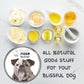 The Blissful Dog Olde English Bulldogge Unscented Nose Butter - Dog Nose Butter, 8 Ounce