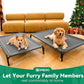 Elevated Dog Bed Raised Outdoor Dog Cot for Medium Dogs, Installation Requires No Tools, Frame with Washable Cooling Breathable Mesh Anti-Slip Feet, Indoor Pet Bed, Grey, 35.4 Inches
