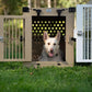 Heavy Duty Fully Collapsible Powder-Coated Aluminum Dog Crate - Medium (Tan)