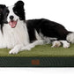 Bedsure Dog Beds Large Sized Dog - Orthopedic Flat Pet Beds with Removable Washable Cover, Egg Crate Foam Puppy Mat, Suitable for Pet Up to 65 lbs