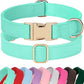 PET ARTIST Soft PU Leather Dog Collar, Bright Color & Durable Dog Collar Leather with Rose Gold Quick Release Metal Buckle, Adjustable Nylon Padded Pet Collars for Small Dogs, Neck Fit 9-14"