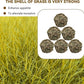 Rabbit Timothy Grass Ball 6 Pcs,Natural Bunny Grass Ball Timothy Hand Woven Chew Toys Small Animals Teeth Grinding Suitable for Hamster Guinea Pig Squirrel Totoro Gerbils