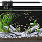5 Gallon Fish Tank Aquarium Kit with Filter, LED Light with Timer, Siphon Vacuum Cleaner, Lid, Self-Cleaning Glass Rimless Betta Tank