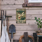 Dragonfly Vintage Tin Sign What If I Fall Metal Tin Sign for Home Bedroom 12 * 8inch
