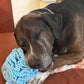Medium Breed Snuffle Interactive Foraging Dog Puzzle Ball Toy Blue Large